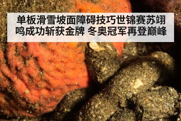 单板滑雪坡面障碍技巧世锦赛苏翊鸣成功斩获金牌 冬奥冠军再登巅峰